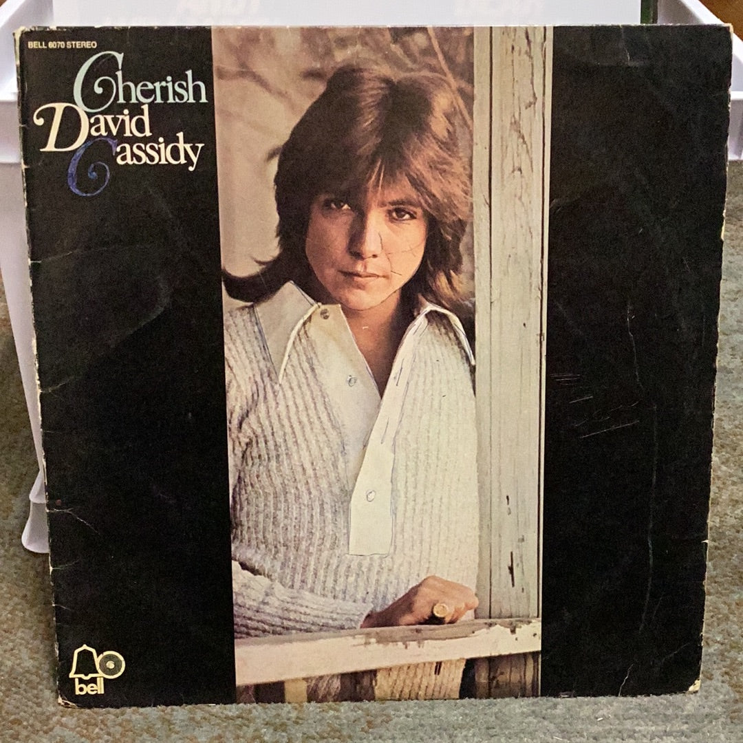 David Cassidy - Cherish – Martin's Vintage Music Co.