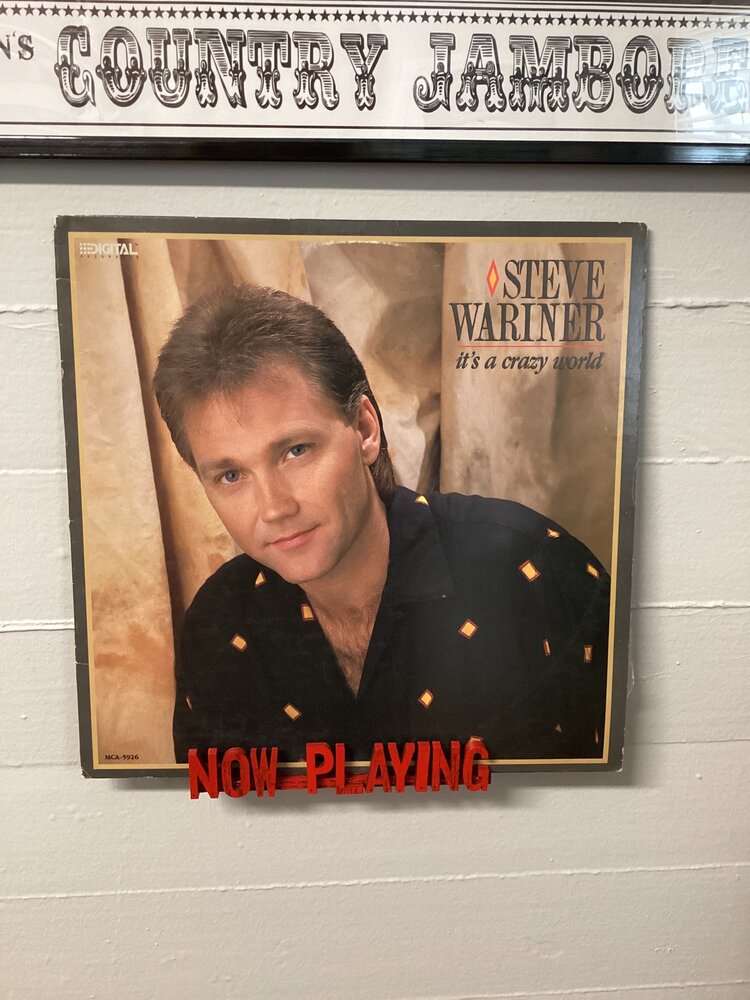 It's A Crazy World - Steve Wariner