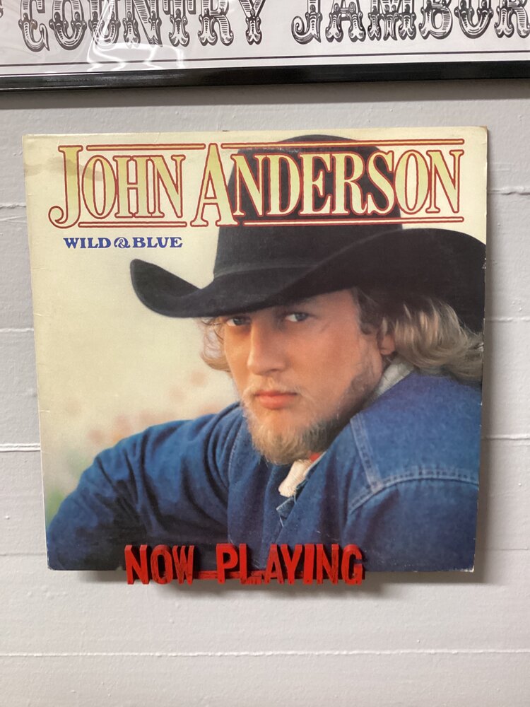 John Anderson - Wild & Blue