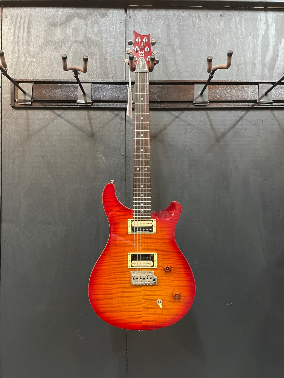 PRS SE Custom